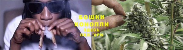 каннабис Алексеевка