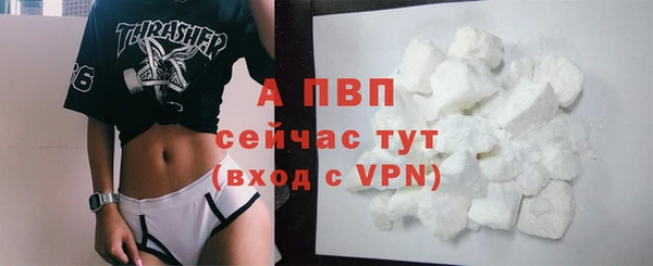 молекула духа Алексин