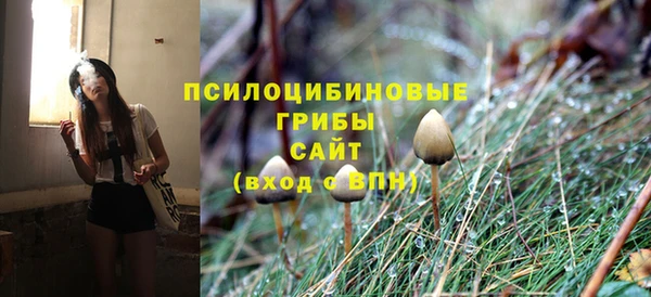 спиды Алзамай