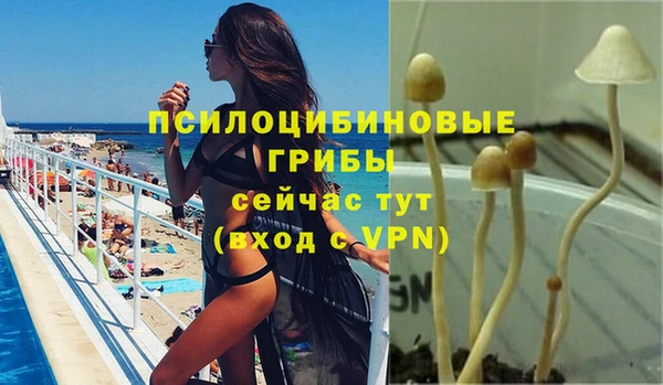 каннабис Алексеевка
