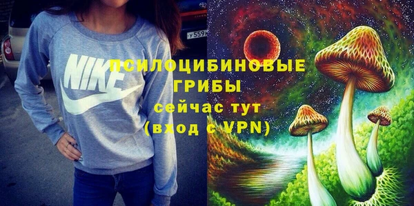 спиды Алзамай