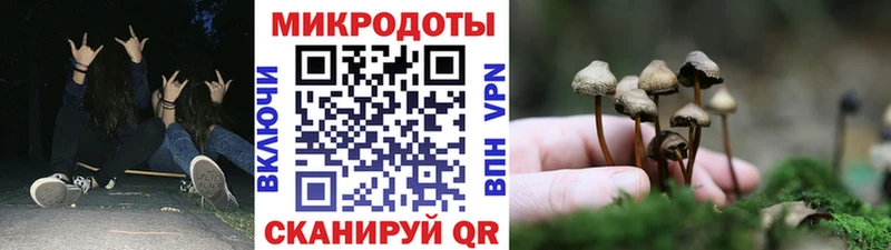 Галлюциногенные грибы GOLDEN TEACHER  mega ТОР  Ковров  цены  
