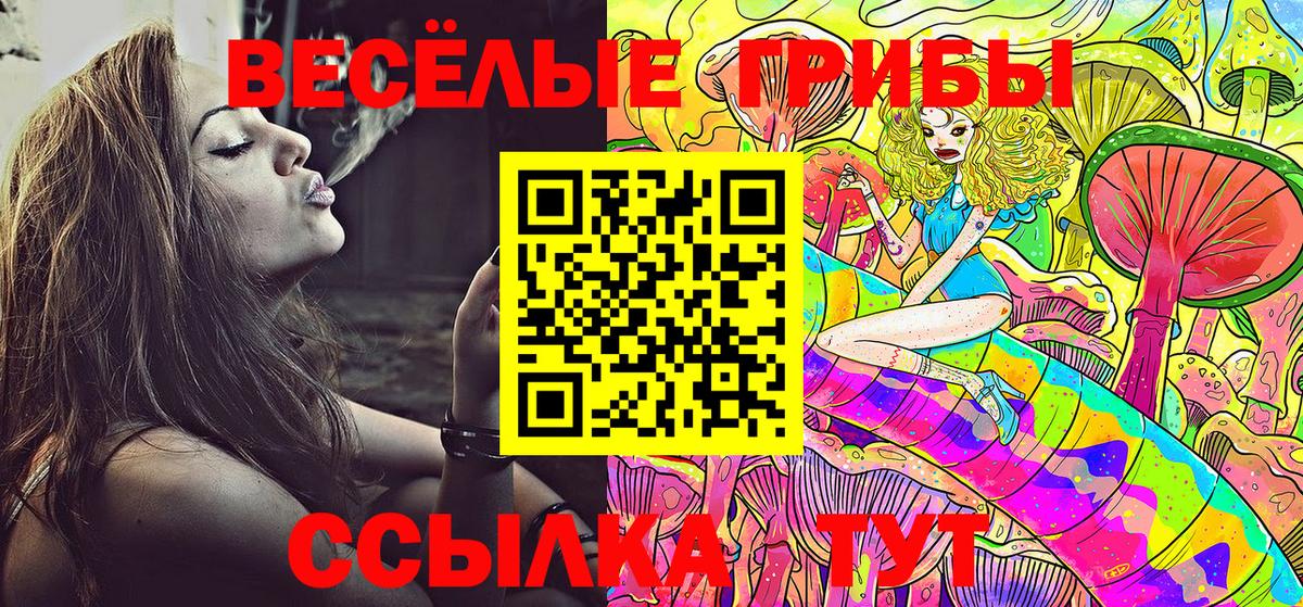 Галлюциногенные грибы ЛСД  Вход с VPN  закладки  Галлюциногенные грибы GOLDEN TEACHER  Ковров 